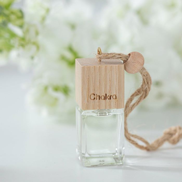 Car Air Freshener Hanging Diffuser 0.17 oz Powder Pleasure